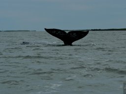 USA_Mexico2006-2007-039